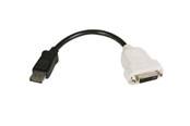 Näyttökaapeli - StarTech.com DisplayPort-DVI-videomuunnin - DP2DVI