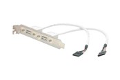 Sisäiset virtakaapelit - StarTech.com 2-porttinen USB A -liitin, naaraspuoli, matala profiili - USBPLATELP