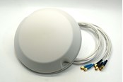 Antennit - Motorola Antenni - ML-2452-PTA6X6-036