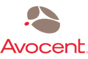 Palvelu ja tuki  - Avocent Hopea Maintenance and Support teknisk understøtning - SCNT-2YSLV-START