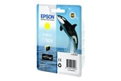 Mustepatruunat, värikasetit ja lisävarusteet - Epson T7604 - Keltainen Ink - Blister - C13T76044010