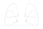 Dronet - DJI - Prop Guard P4 Pro/+ Osa 62 - CP.PT.000599