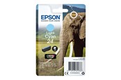 Mustepatruunat, värikasetit ja lisävarusteet - Epson 24 - C13T24254022