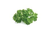 Smart Home - Älykoti - Click & Grow Smart Garden Refill 3-pack - Parsley - SG-011