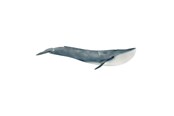 Schleich - Schleich Sinivalas - 14806
