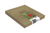 Mustepatruunat, värikasetit ja lisävarusteet - Epson Monipakkaus 29XL EasyMail - C13T29964511