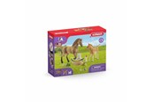 Schleich - Schleich HORSE CLUBin Sarahin eläinvauvanhoitosarja - 42432