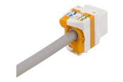 Lisätarvikkeet - Deltaco IteCat6A Keystone jack toolless muovinen valkoinen - MD-123
