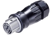 Kaapelit ja johdot - Wieland Rst25i3 plug female 3-pol 250v/32a 0.75-6mm2 ø=13-18mm grey - 96.031.4554.3