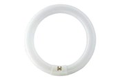 Lamput - Philips Loistelamppu Master tl-e ympyrälamppu super 80 40w/840 G10q - 928027484070