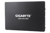 SSD 2 - GIGABYTE SSD - 1TB - SATA-600 - 2.5" - GP-GSTFS31100TNTD