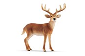 Schleich - Schleich Valkohäntäpeura-uros - 14818