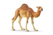 Schleich - Schleich Dromedaari - 14832