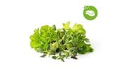 Smart Home - Älykoti - Click & Grow Älypuutarhan täyttöpakkaus, joka sisältää yhdeksän grilli- ja pihvisekoitusta. - PPMSSX9