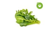 Smart Home - Älykoti - Click & Grow Smart Garden Refill 9-pack Green Sallad Mix - PPMSAX9