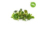Smart Home - Älykoti - Click & Grow Smart Garden Refill 9-pakkaus Italialaisia yrttejä sekoitus - PPMIPX9