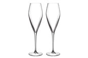 Kattaus - Luigi Bormioli Atelier champagne Prosecco - 27 cl - 21271