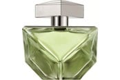 Parfyymit & Tuoksut - Britney Spears Believe EDP - 100ml - 719346117722