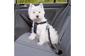 Koirat - Trixie Car Harness Safety Belt S 60-60cm/25 mm Stomach Circum 60-60cm - TX-1290