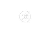 Vesihuoltotuotteet - +GF+ elgef plus tee 160 mm pn16 pe100-sdr11 - 753201817
