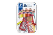 Kirjoitus- ja piirustustarvikkeet - Staedtler Coloured pencil hexagonal 36pc - 175 M36