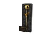 Gadget - Mikamax 24K Golden Rose - Musta Box - 03261.GO