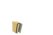 Suihku- ja asennustarvikkeet - Hansgrohe Suihku holder porter s polished gold-optic - 28331990