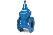 Vesihuoltotuotteet - Avk Porttiventtiili AVK 65mm liitoksilla - 06065308146499