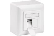 Lisävarusteet (Kiinnikkeet, pistorasiat jne.) - Pro CAT 6 Universal wall plate incl. on-wall mounting - 4040849682445
