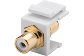 Verkkokaapelit - Pro Keystone Cinch/RCA -moduuli - Valkoinen - 0cm - 4040849796760