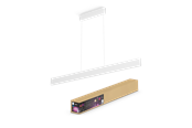 Smart Home - Älykoti - Philips Hue Ensis (valkoinen) White & Color Ambiance riippuvalaisin - 929003053301