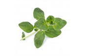Smart Home - Älykoti - Veritable Lingot Organic Oregano - VLIN-A10-Ori00C