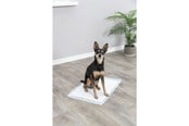 Koirat - Jolly Paw Hygieeniset pentualustat Puppy Pads 40x60cm (7-pack) - JP26000