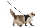 Kissat - Trixie Soft harness cat with leash XXL 36–54 cm 1.20 m black - TX41895