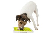 Koirat - Trixie Lick'n'Snack Levy 20x20cm - TX34952