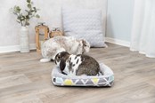 Kanit & Jyrsijät - Trixie Pehmopeti Sunny Pienille Lemmikeille Kanit - TX62803
