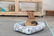 Kanit & Jyrsijät - Trixie Pehmopeti Sunny Pienille Lemmikeille Marsut Pienet Kanit - TX62802