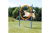 Koirat - Trixie Fun Agility Ring – Säädettävä harjoittelurengas koirille - TX3208