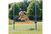 Koirat - Trixie Dog Fun Agility Hurdle 123x115cm - TX3207