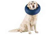 Koirat - Trixie Protective Collar Inflatable L–XL 66-78cm - TX19544