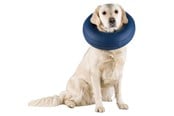 Koirat - Trixie Protective Collar Inflatable XXS 14-18cm - TX19540