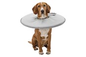 Koirat - Trixie Protective collar polyester/foam XS: 23–27 cm/13 cm Harmaa - TX19422