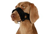 Koirat - Trixie Muzzle loop nylon L–XL Musta - TX19282