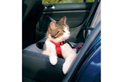 Kissat - Trixie Car cat harness 20–50 cm/15 mm Punainen - TX1294