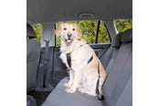Koirat - Trixie Car Harness Safety Belt L 70-90cm/25 mm Stomach Circum 70-90cm - TX1292
