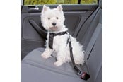 Koirat - Trixie Car Harness Safety Belt XS 20-50cm/25 mm Stomach Circum 20-50cm - TX1288