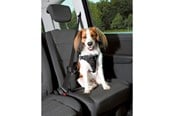Koirat - Trixie Comfort car harness S–M: 40–55 cm/17 mm Musta - TX12855