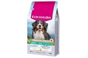 Koirat - Eukanuba Special Care Adult Dogs with Sensitive Joints – dry dog food – 12 kg - DLPEUKKAS0062