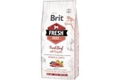 Koirat - Brit Naudanlihaa kurpitsalla - Isoille pennuille - 12 kg - BH281200