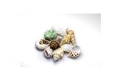 Kalat - Dohse Sea Shells Set m 10 pcs. - AT40222